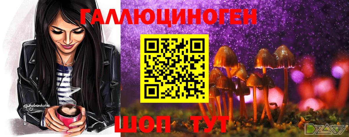 Псилоцибиновые грибы Cubensis Шелехов