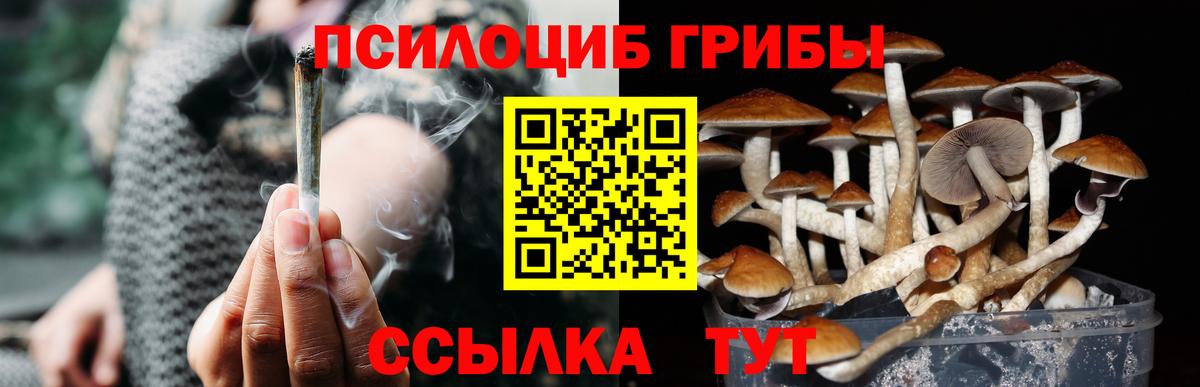 Галлюциногенные грибы прущие грибы  Вход с VPN  Шелехов 