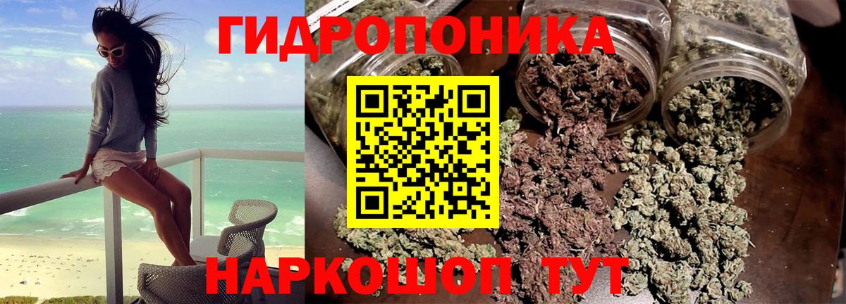 Бошки марихуана OG Kush Шелехов